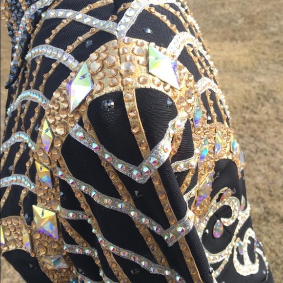 SHOWMANSHIP JACKET - Picture 2 of 6